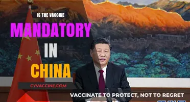 Vaccine Mandates in China: A Comprehensive Overview