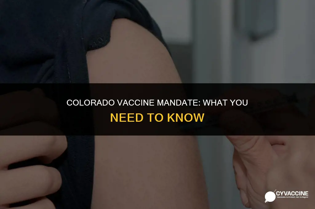 is the vaccine mandatory in colorado