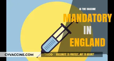 Vaccine Mandate in England: What You Need to Know