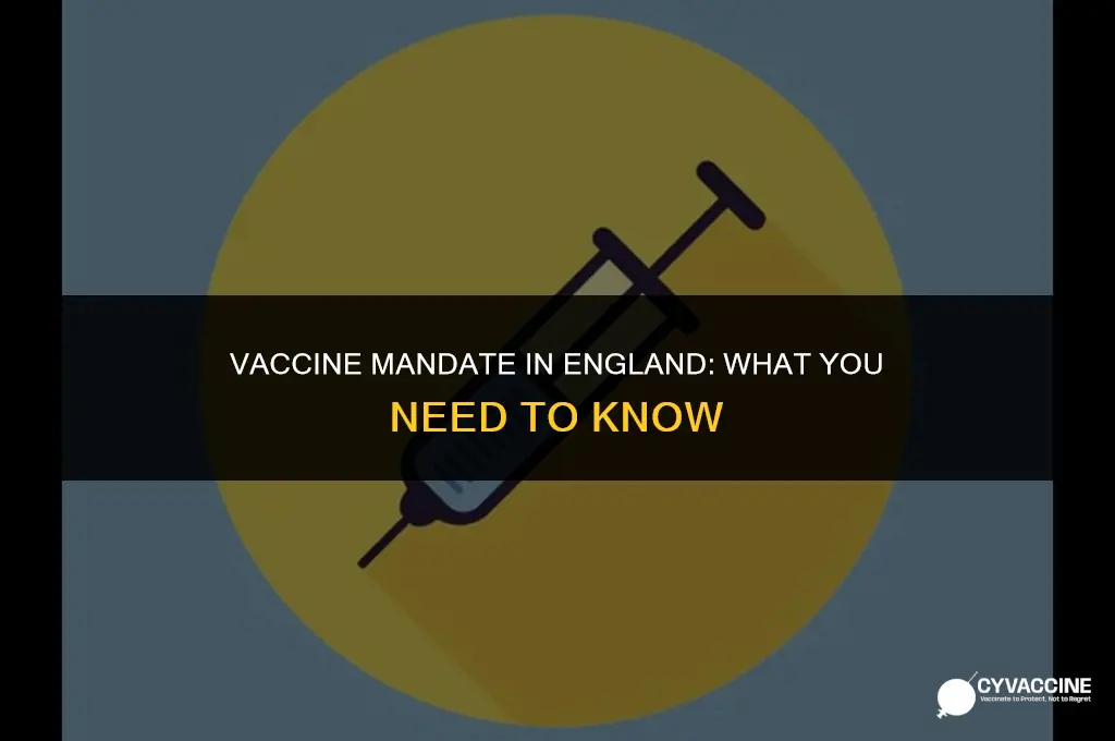 is the vaccine mandatory in england