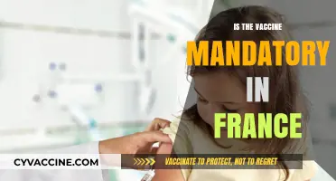 Vaccine Mandate in France: What You Need to Know