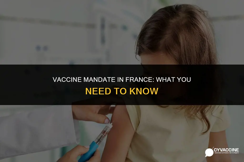 is the vaccine mandatory in france