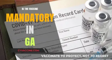 Georgia's Vaccine Mandate: What You Need to Know