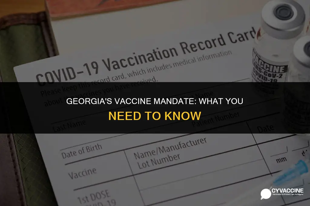 is the vaccine mandatory in ga