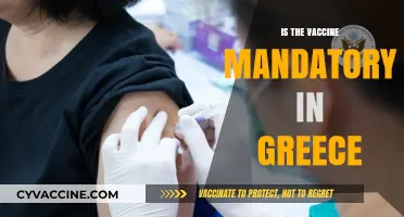 Exploring Vaccine Mandates: The Greek Perspective