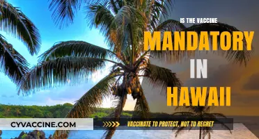 Vaccine Mandate in Hawaii: What You Need to Know
