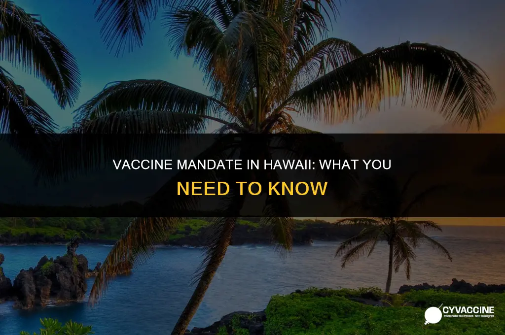 is the vaccine mandatory in hawaii