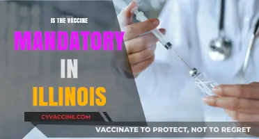 Understanding Vaccine Mandates in Illinois: A Comprehensive Guide