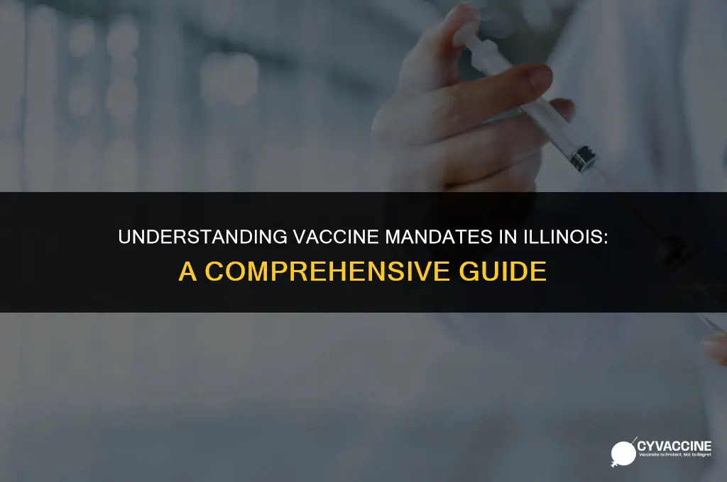is the vaccine mandatory in illinois