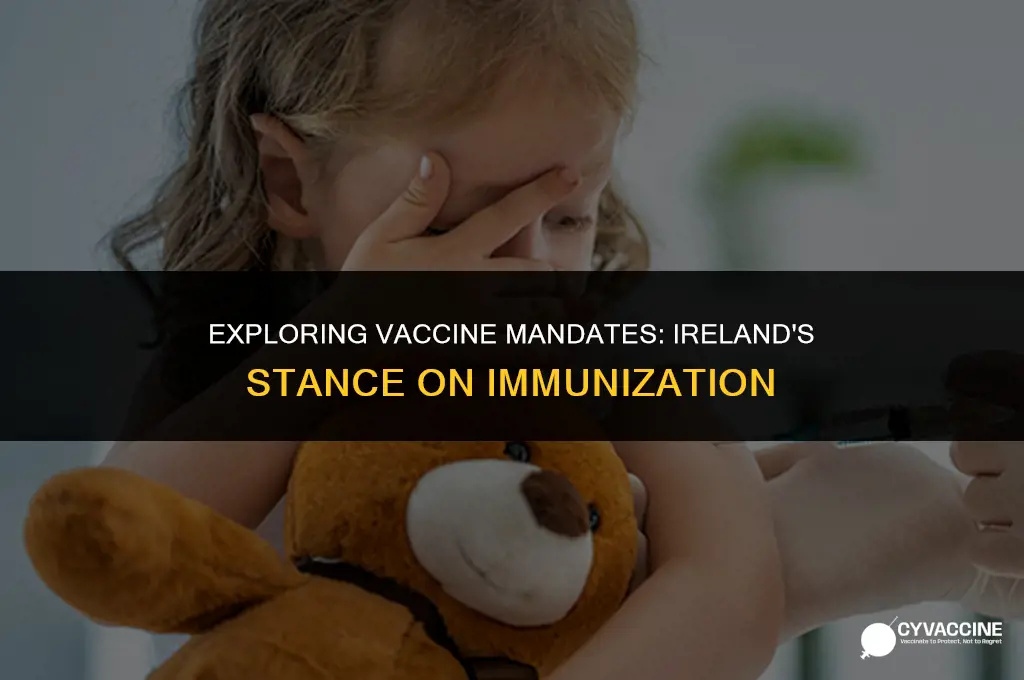 is the vaccine mandatory in ireland