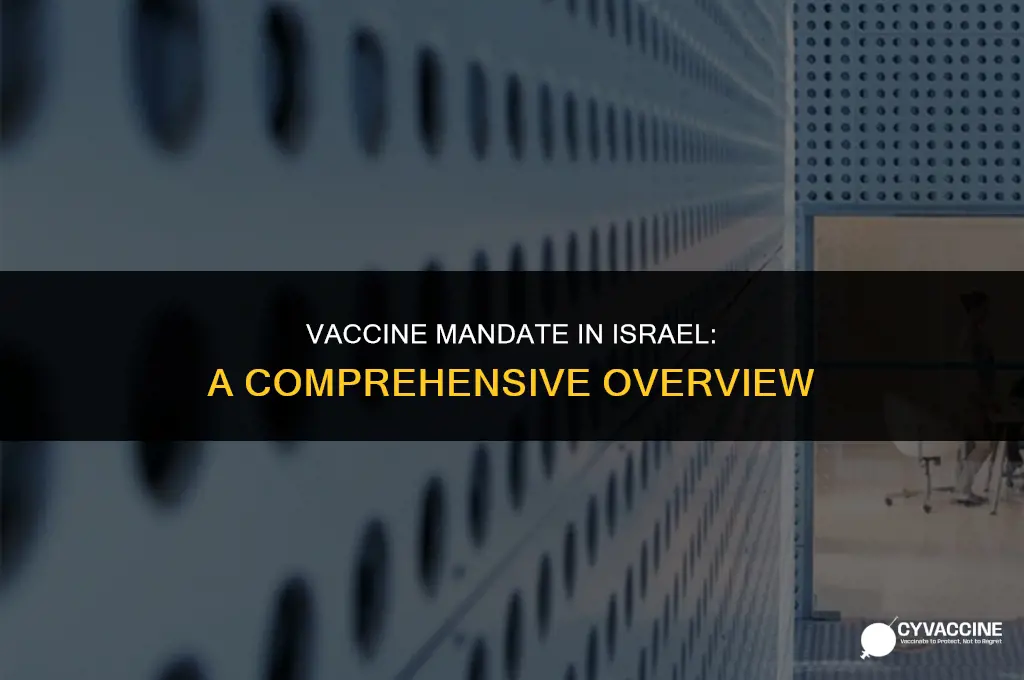 is the vaccine mandatory in israel