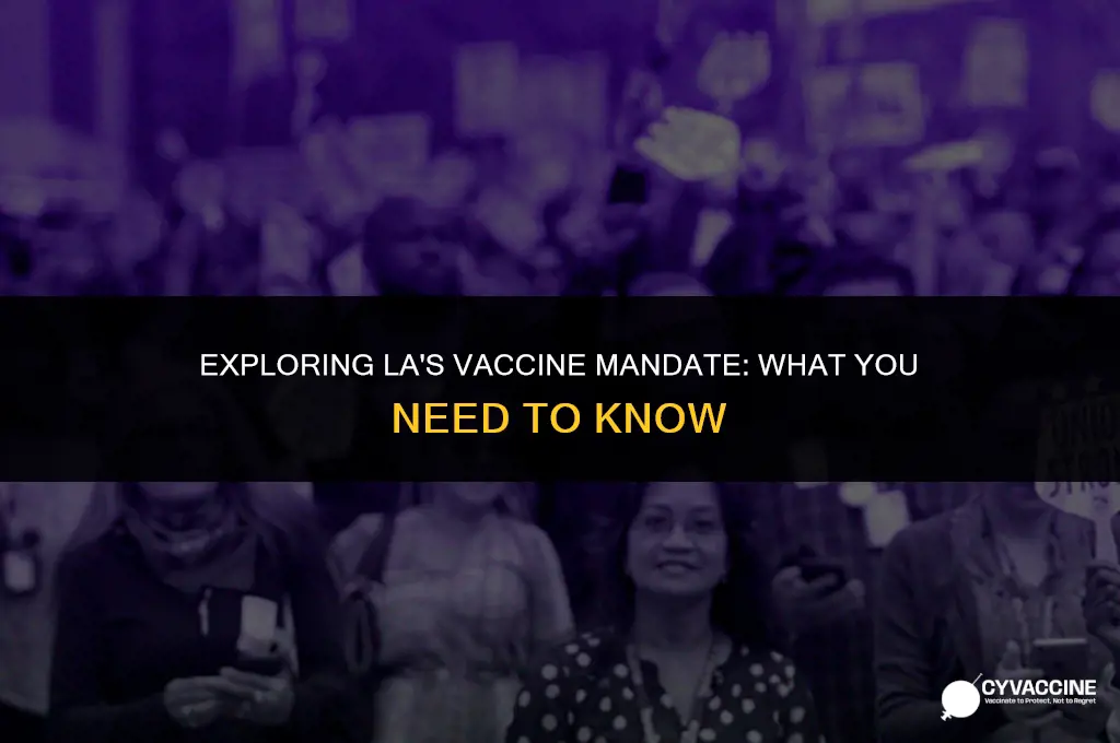 is the vaccine mandatory in la