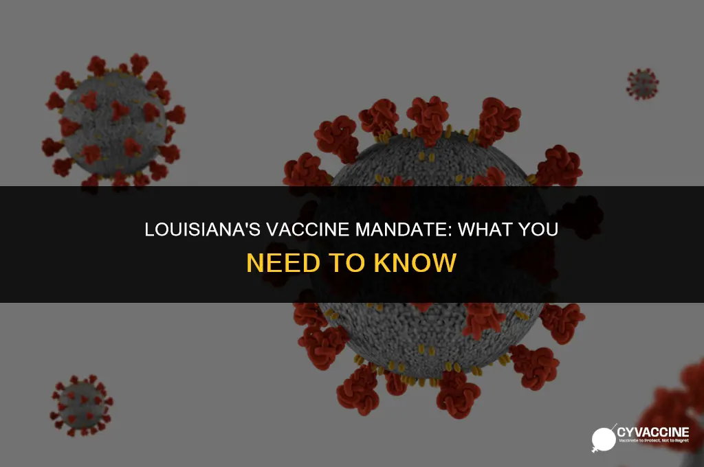 is the vaccine mandatory in louisiana