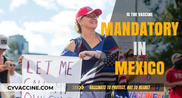 Vaccine Mandate in Mexico: What You Need to Know