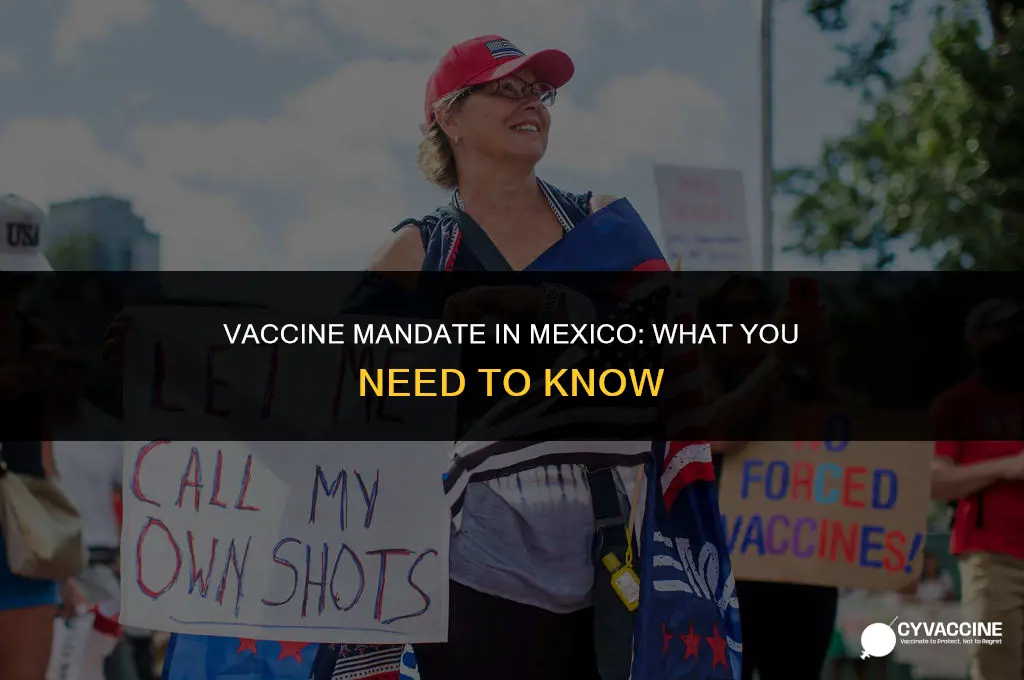 is the vaccine mandatory in mexico