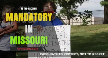 Vaccine Mandate in Missouri: What You Need to Know
