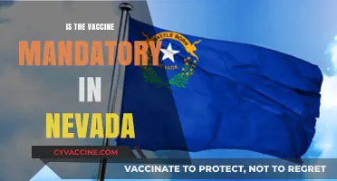 Exploring Vaccine Mandates: The Current Status in Nevada