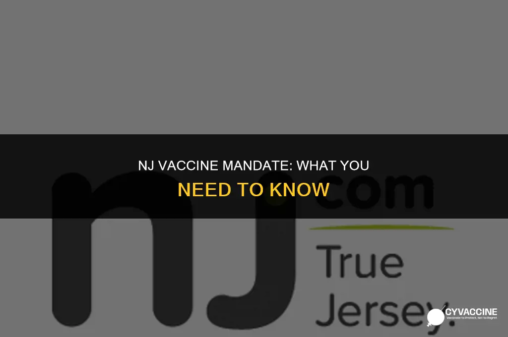 is the vaccine mandatory in nj