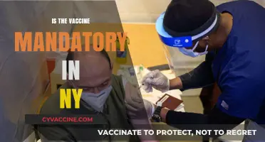 Exploring Vaccine Mandates in New York: What You Need to Know