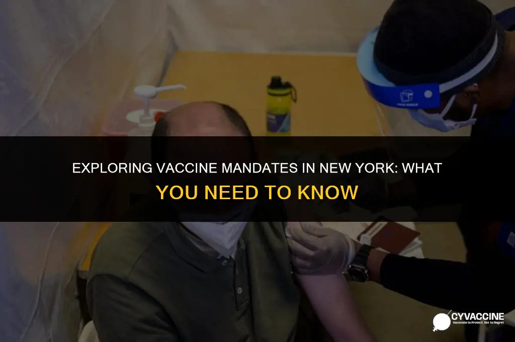 is the vaccine mandatory in ny