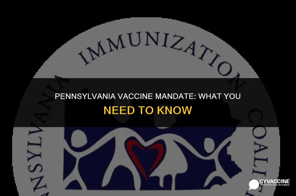 is the vaccine mandatory in pa