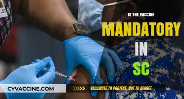 South Carolina Vaccine Mandate: What You Need to Know