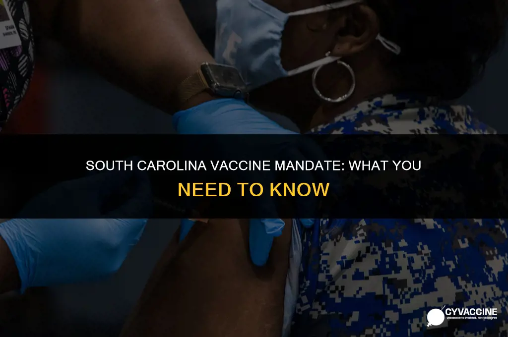 is the vaccine mandatory in sc