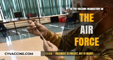 Is the COVID-19 Vaccine Mandatory for Air Force Personnel?