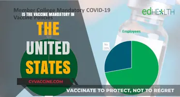 Is the COVID-19 Vaccine Mandatory in the United States?