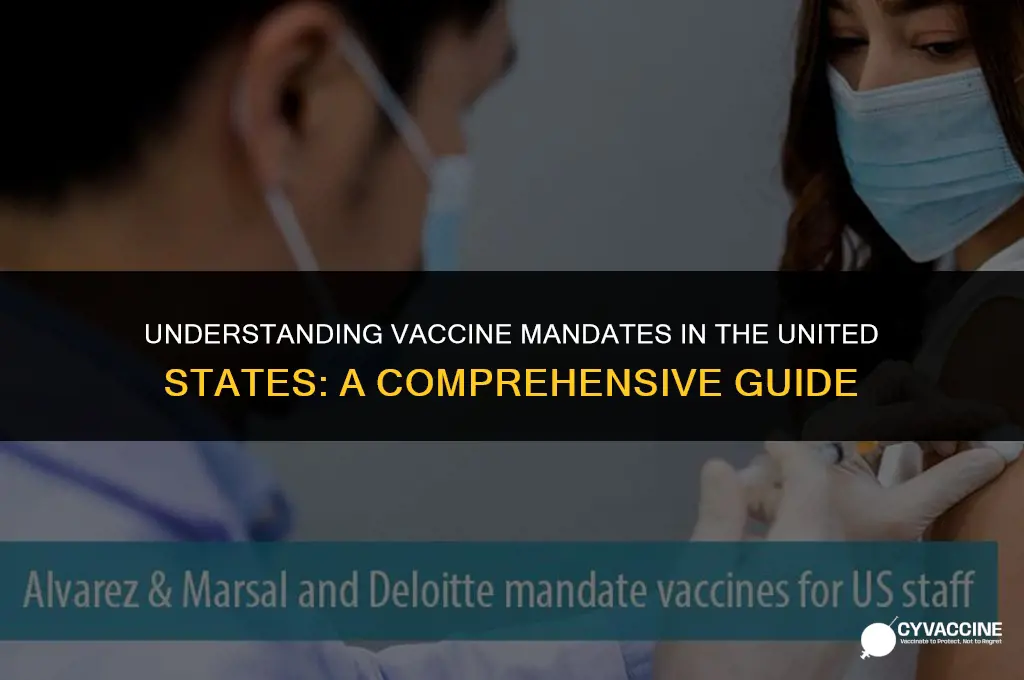 is the vaccine mandatory in us