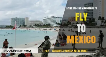 Flying to Mexico: Is COVID-19 Vaccination Mandatory for Travelers?