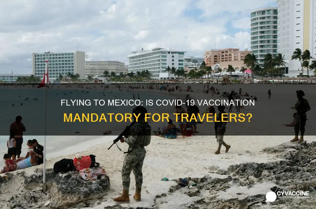 is the vaccine mandatory to fly to mexico