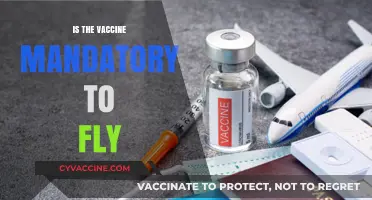 Navigating Travel Requirements: Is the Vaccine Mandatory to Fly?