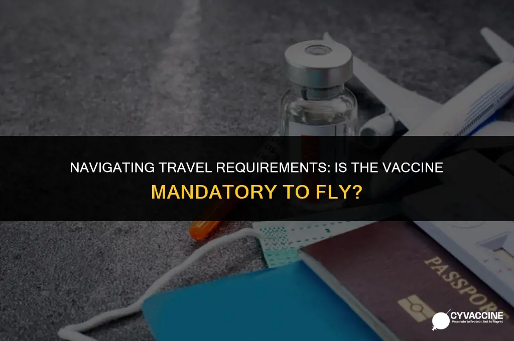 is the vaccine mandatory to fly