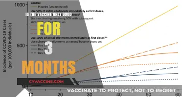 Vaccine Efficacy: Does Protection Really Last Only 3 Months?
