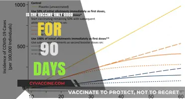 Vaccine Efficacy: Does Protection Really Last Only 90 Days?