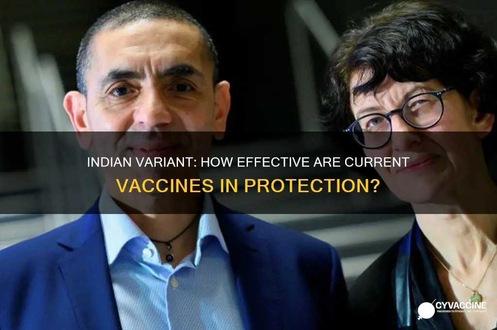 is the vaccine protecting against the indian variant