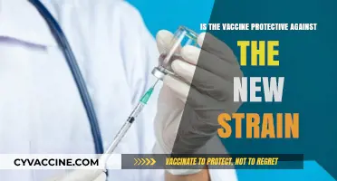 New Strain Concerns: Does the Vaccine Still Offer Protection?