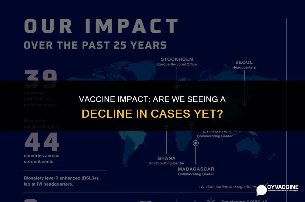 is the vaccine reducing cases yet