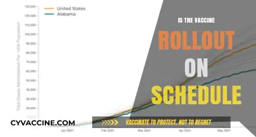 Vaccine Rollout Progress: On Track or Falling Behind?