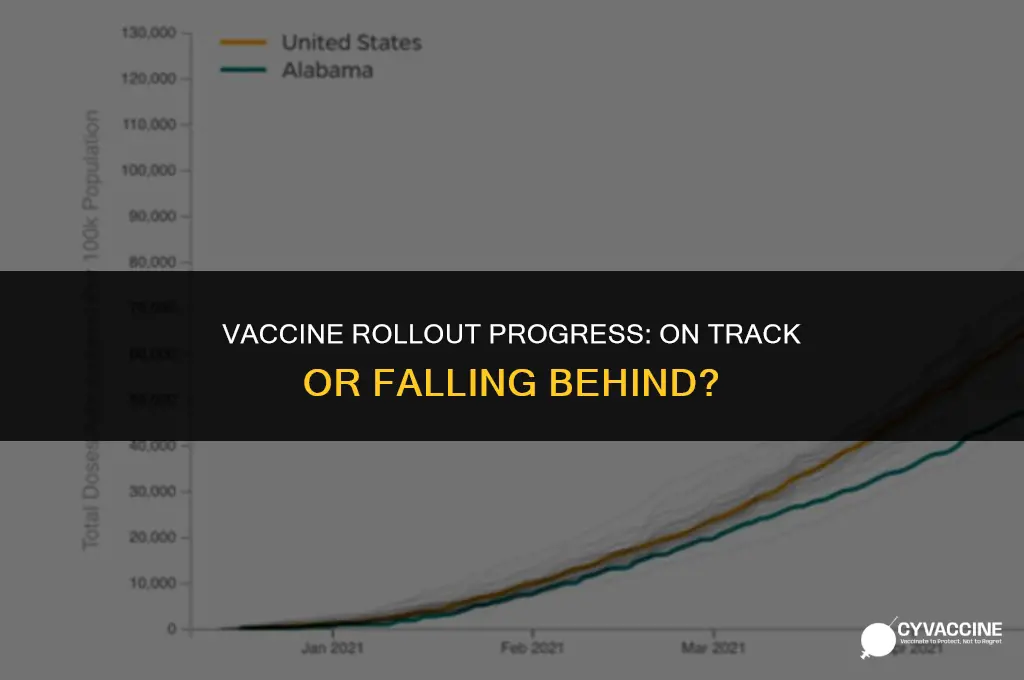 is the vaccine rollout on schedule