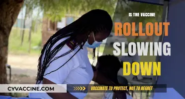 Is the Vaccine Rollout Losing Steam? A Data-Driven Analysis