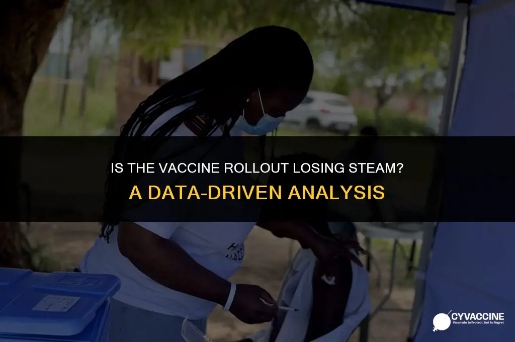 is the vaccine rollout slowing down
