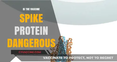 Unraveling the Safety Concerns: Is the Vaccine Spike Protein Dangerous?