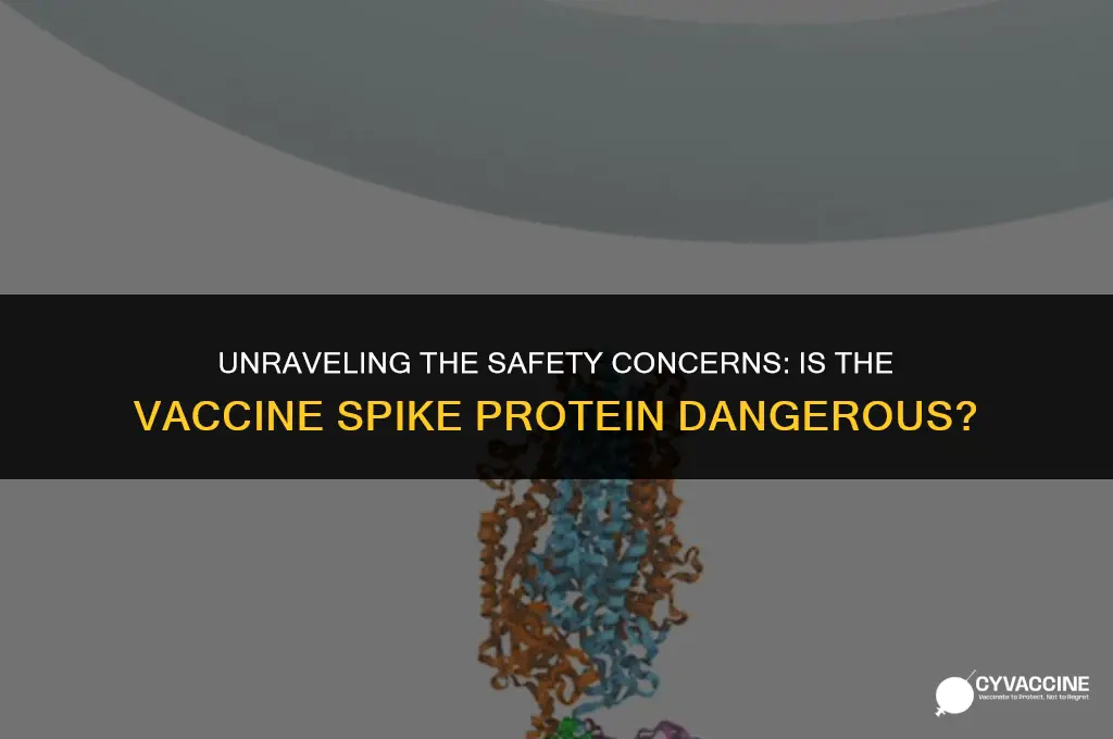 is the vaccine spike protein dangerous