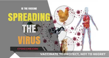 Debunking Myths: The Truth About Vaccines and Virus Spread