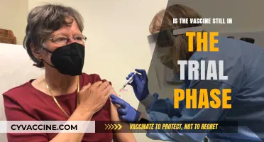 Is the Vaccine Still in Trial Phase? What You Need to Know