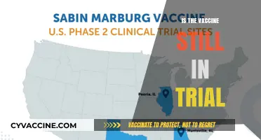 Exploring the Ongoing Trials: Is the Vaccine Still in Testing?