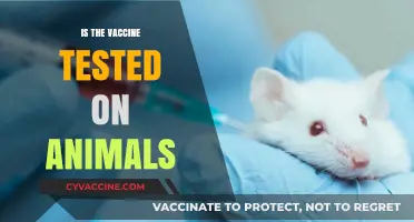 Exploring the Ethics: Are Vaccines Tested on Animals?
