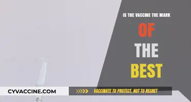 Is the Vaccine the Mark of the Beast? Debunking Myths and Facts